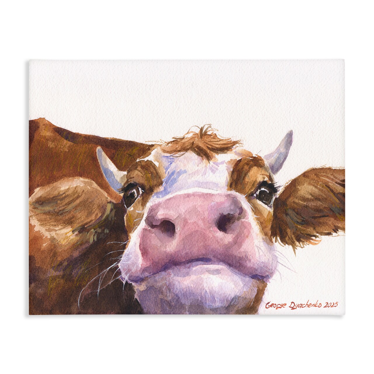 Stupell Industries Cute Cow Close Up Canvas, design by George Dyachenko